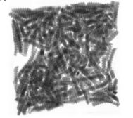 FCFF4E7B8F5A9BD86612992B2642C82