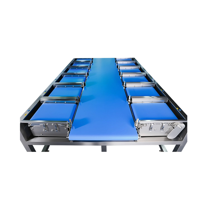 12-köpfige lineare Kombinationswaage für Durian-Steak