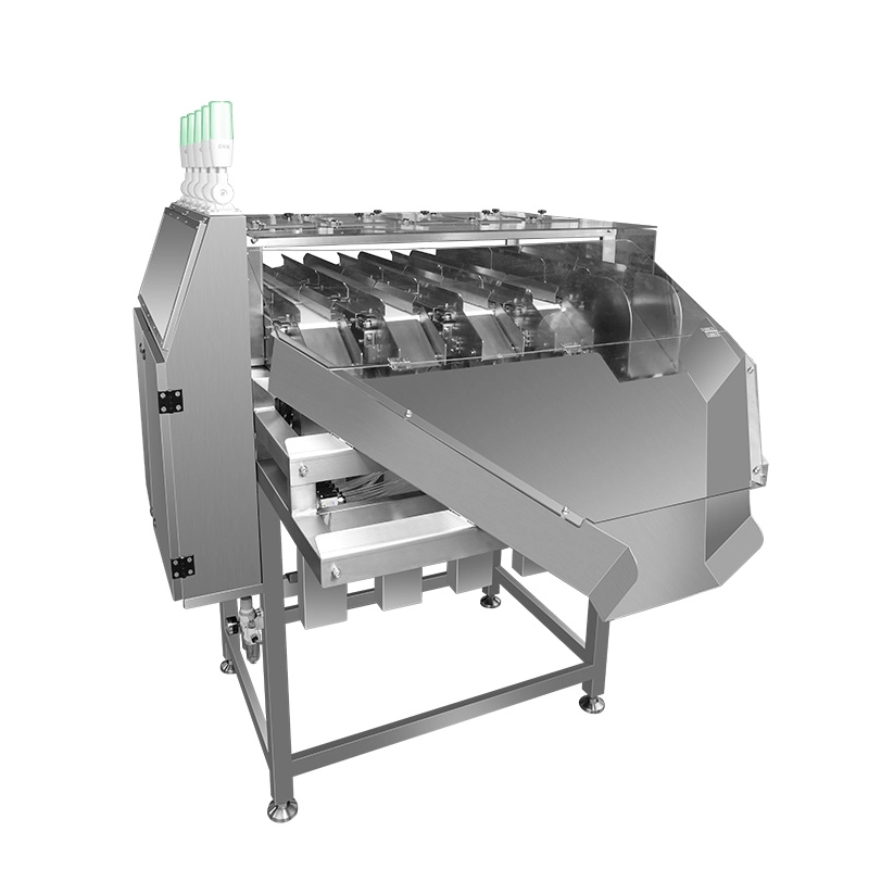 Mehrspurige Kontrollwaage, Mehrkanalwaage