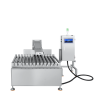 Einteilige Rollenkontrollwaage für 25 kg schwere Kartons