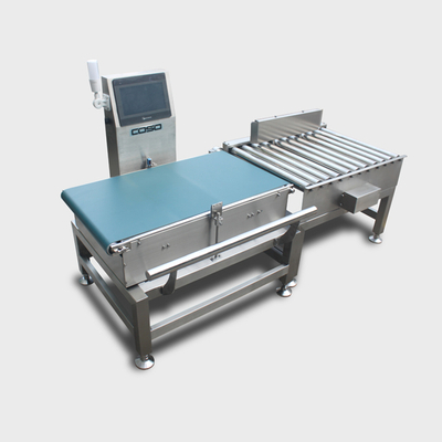 Conveyorized Auto Checkweigher mit Touchscreen