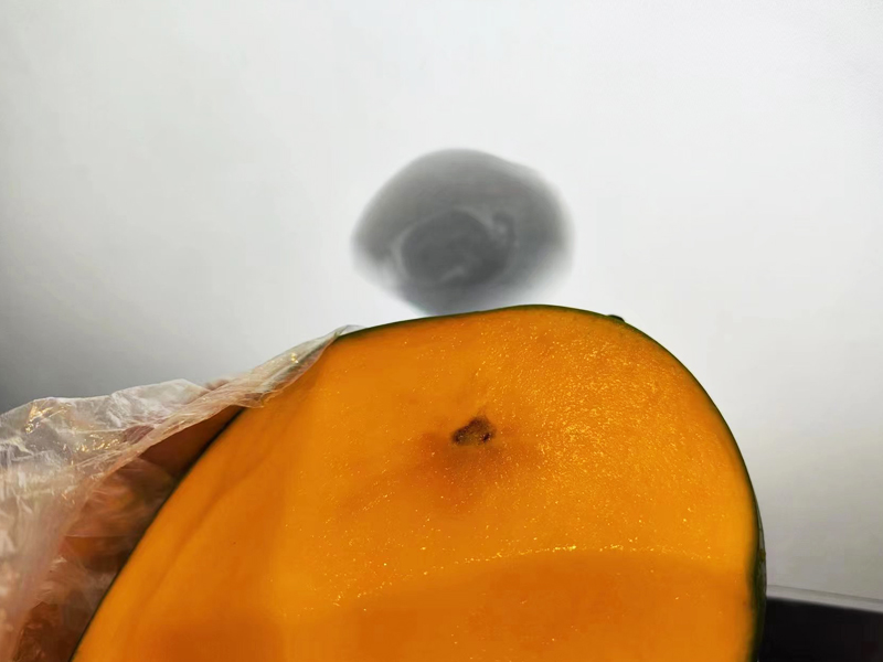 Röntgeninspektionssystem für Mango