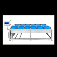 12-köpfige lineare Kombinationswaage für Durian-Steak