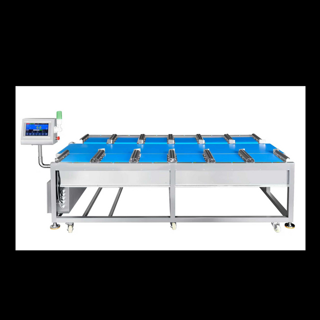 12-köpfige lineare Kombinationswaage für Durian-Steak