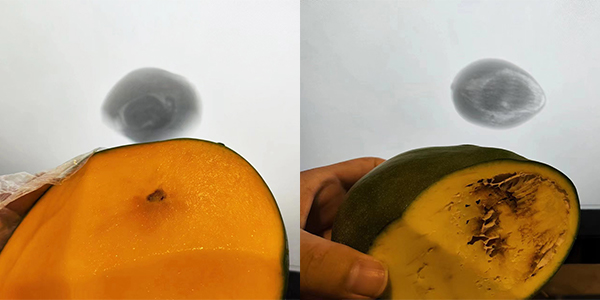 R&ouml;ntgeninspektionsger&auml;t f&uuml;r Knochenfeldanwendungen